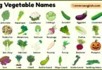 Long Vegetable Names with Their Pictures