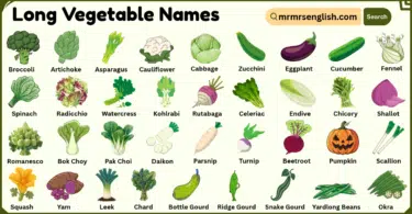 Long Vegetable Names with Their Pictures