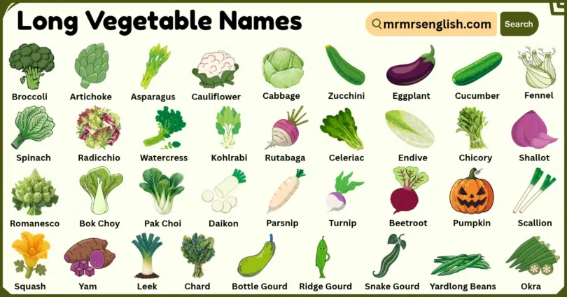 Long Vegetable Names with Their Pictures
