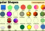 Regular Shapes with Names and Pictures