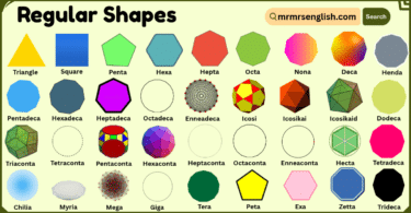 Regular Shapes with Names and Pictures