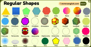 Regular Shapes with Names and Pictures