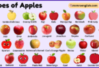 Types of Apples with Pictures and Names