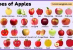 Types of Apples with Pictures and Names