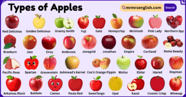 Types of Apples with Pictures and Names