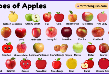 Types of Apples with Pictures and Names