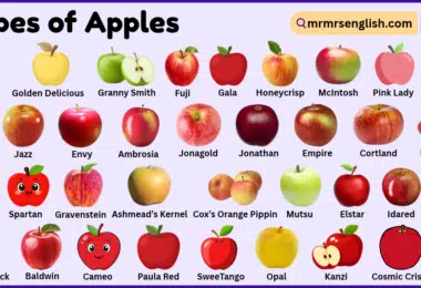Types of Apples with Pictures and Names