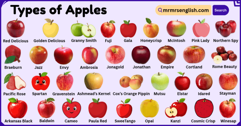 Types of Apples with Pictures and Names